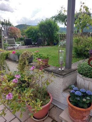 Garden with flowers and seating area in the background.
