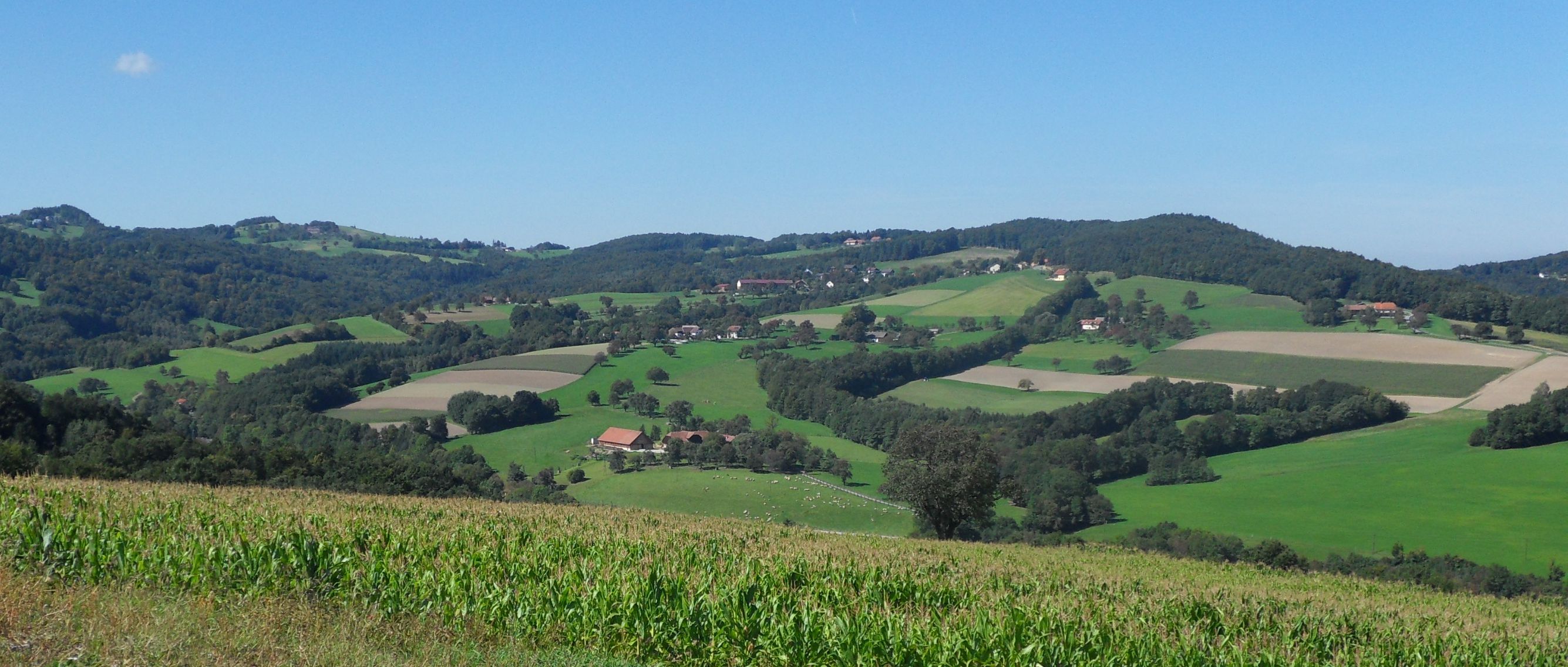 Landscape with green fields and hills under a blue sky.