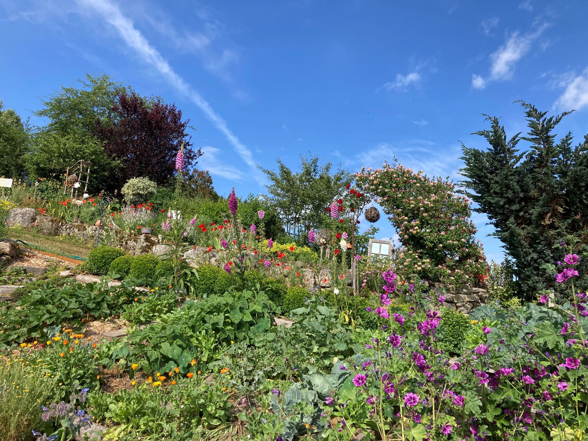 A colorful show garden with various flowers and a blooming archway under a blue sky.
