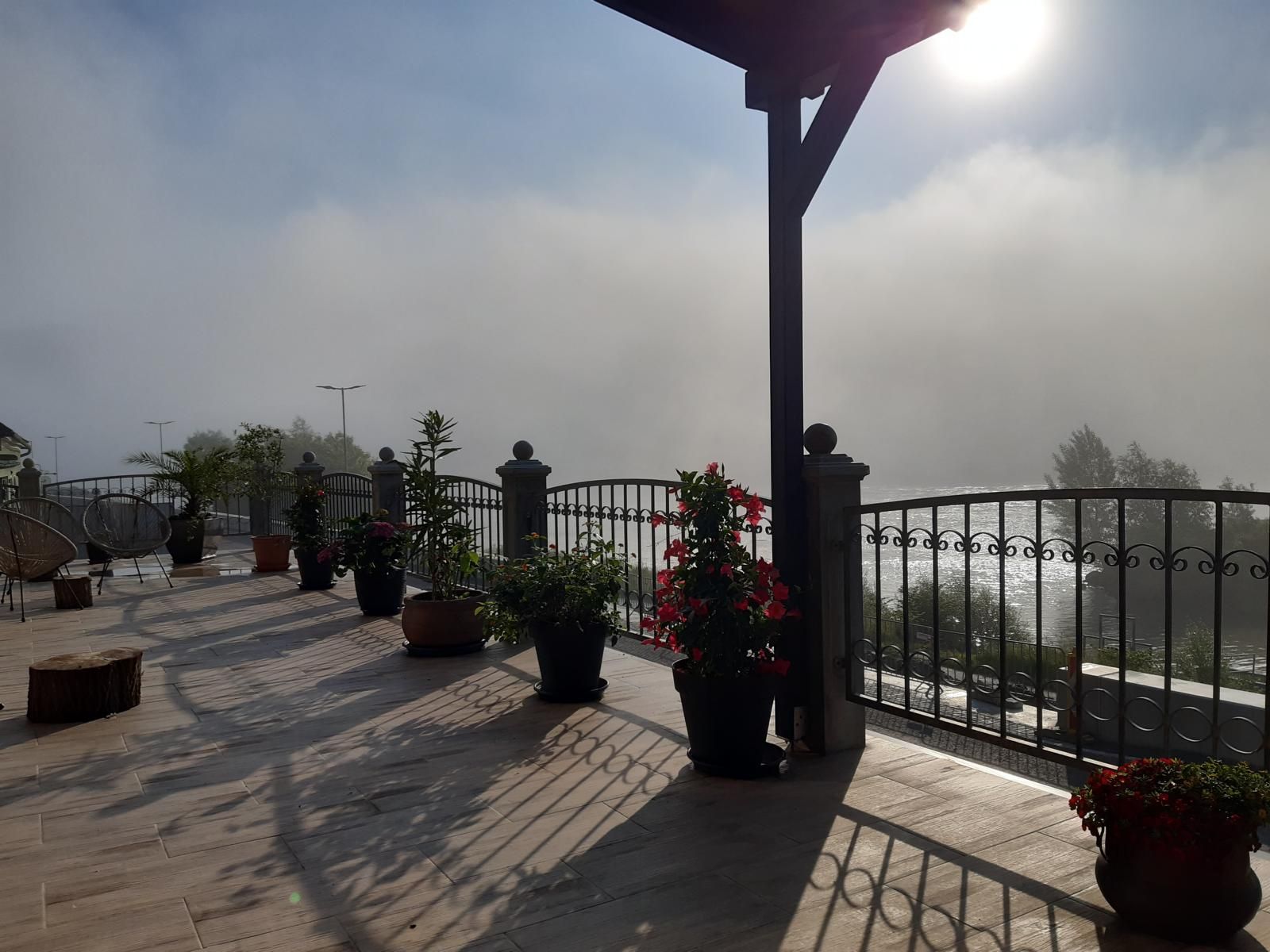 Terrace with plants, railings and fog in the background.