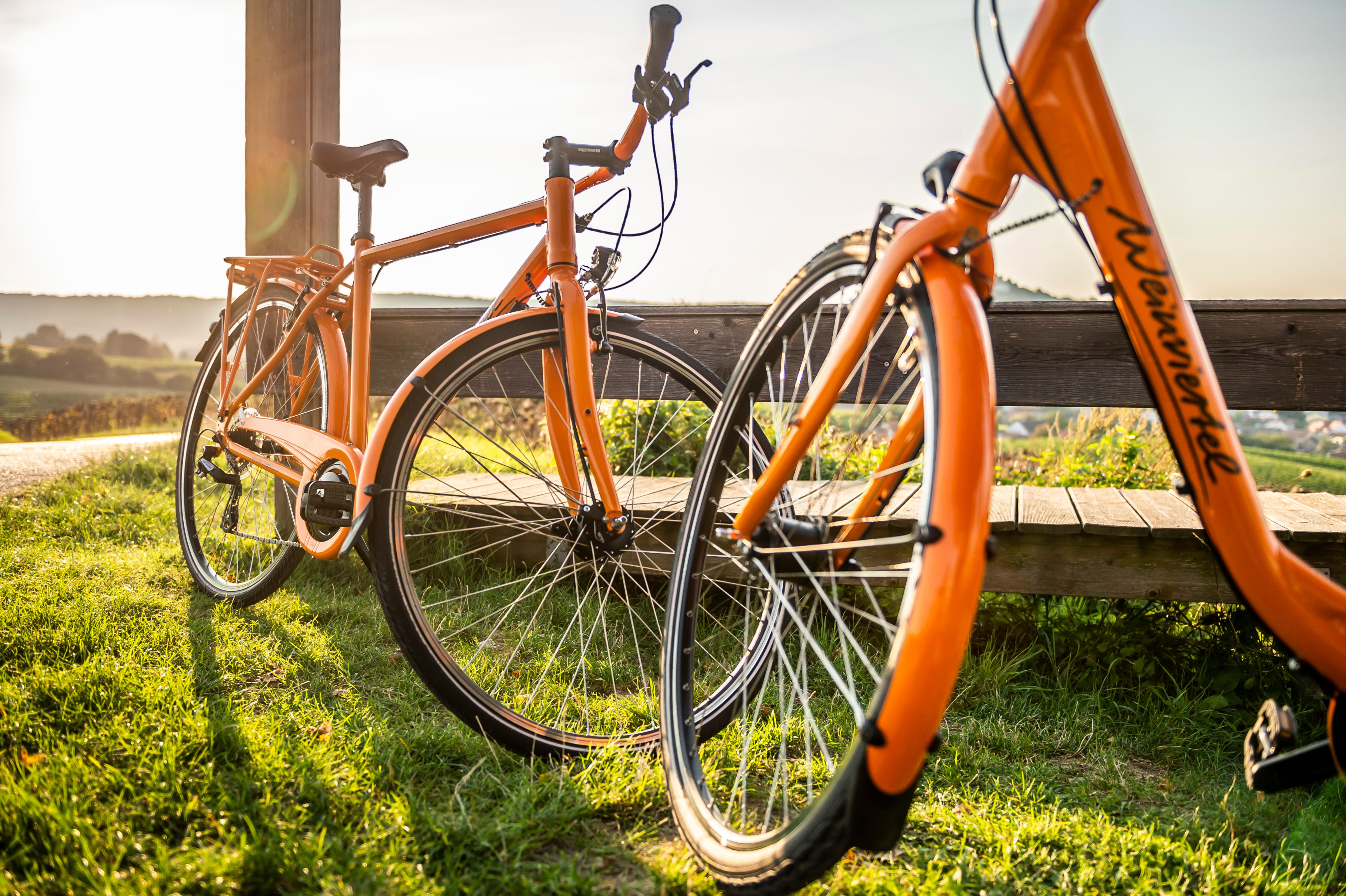 Two orange bicycles are parked on a meadow next to a wooden bench, with a hilly landscape at sunset in the background.