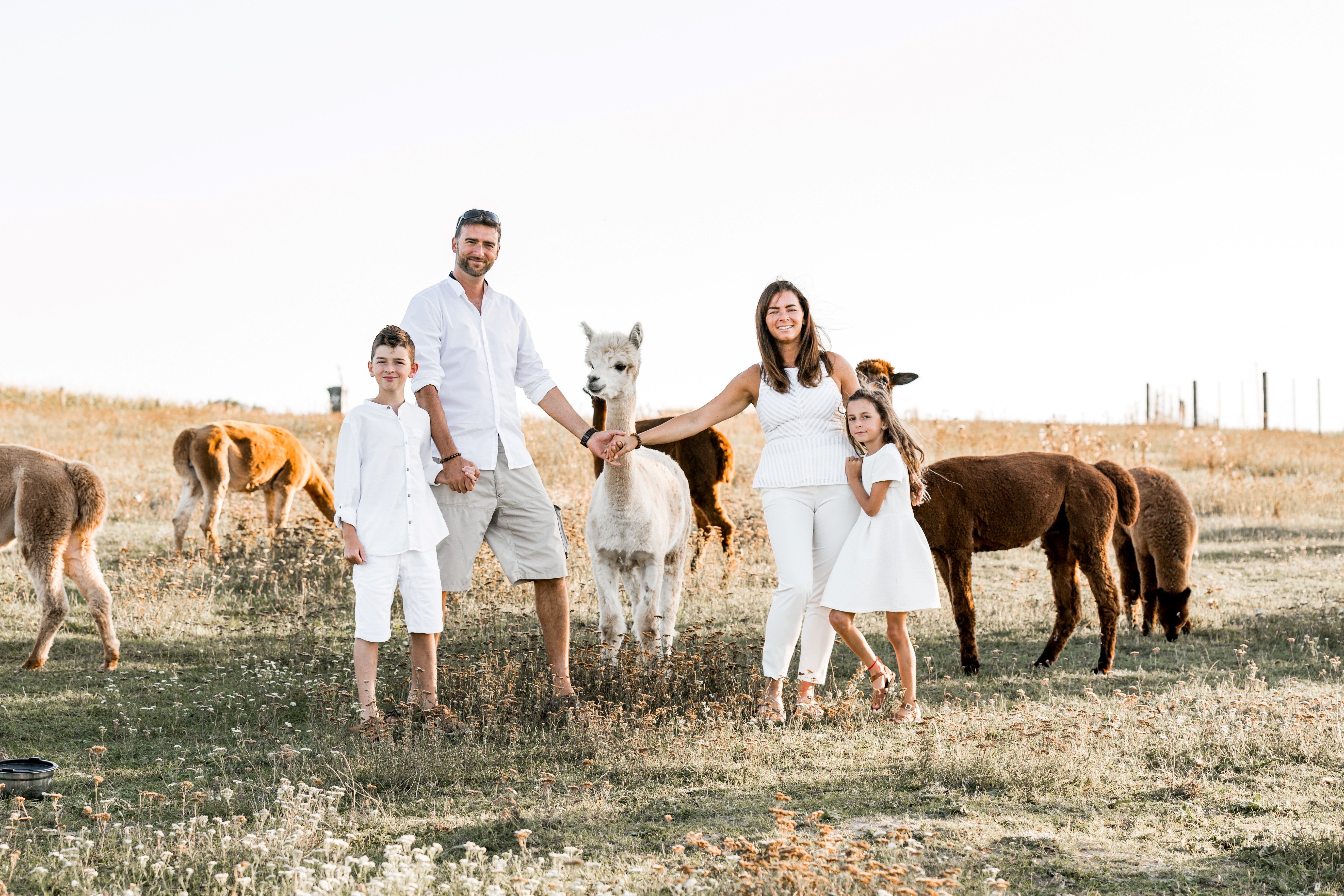 A family in white clothing stands in a meadow with alpacas.
