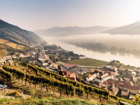 Weinbauort Spitz im Herbst, &copy; Donau N&Ouml; Tourismus/Robert Herbst