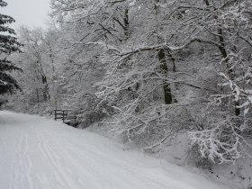 Hotel Klaus im Weinviertel, &copy; Hotel Klaus im Weinviertel