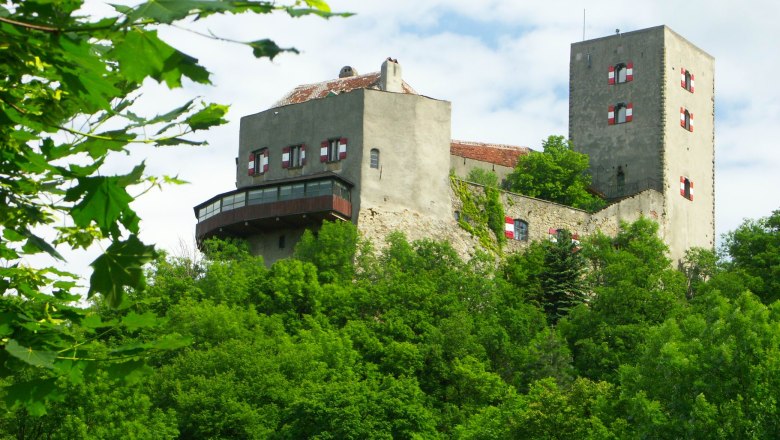 Greifenstein Castle on a wooded hill with a blue sky in the background.