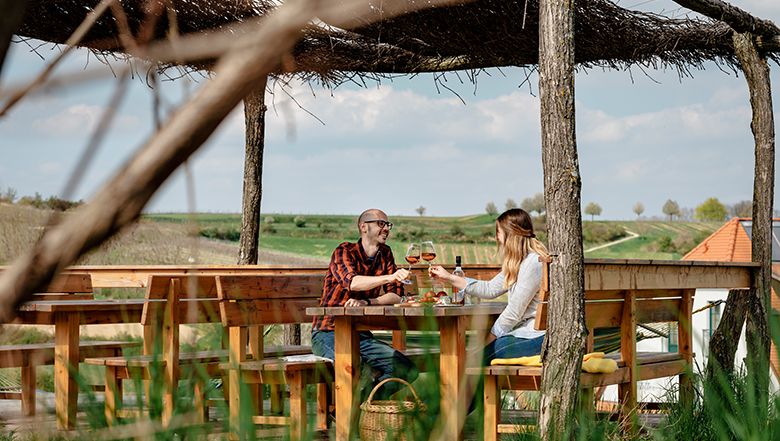 Two people clink glasses of wine on an outdoor terrace.