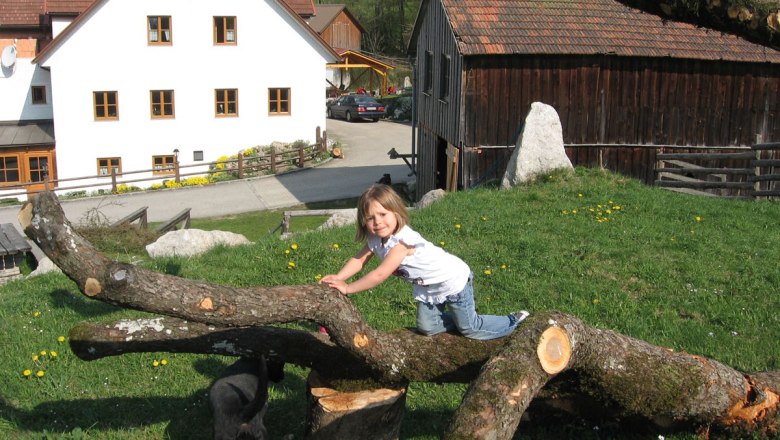 Climbing paradise for kids, © Einkehrhof Poggau