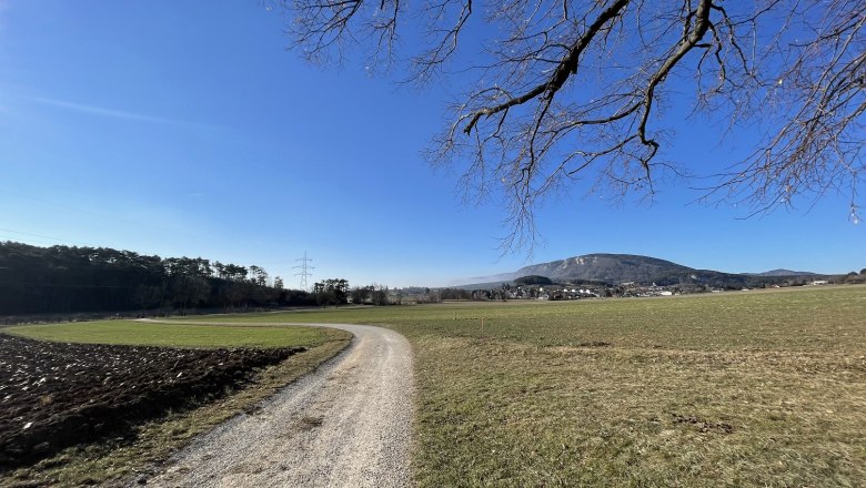 Landscape with dirt road, meadow and mountain in the background.