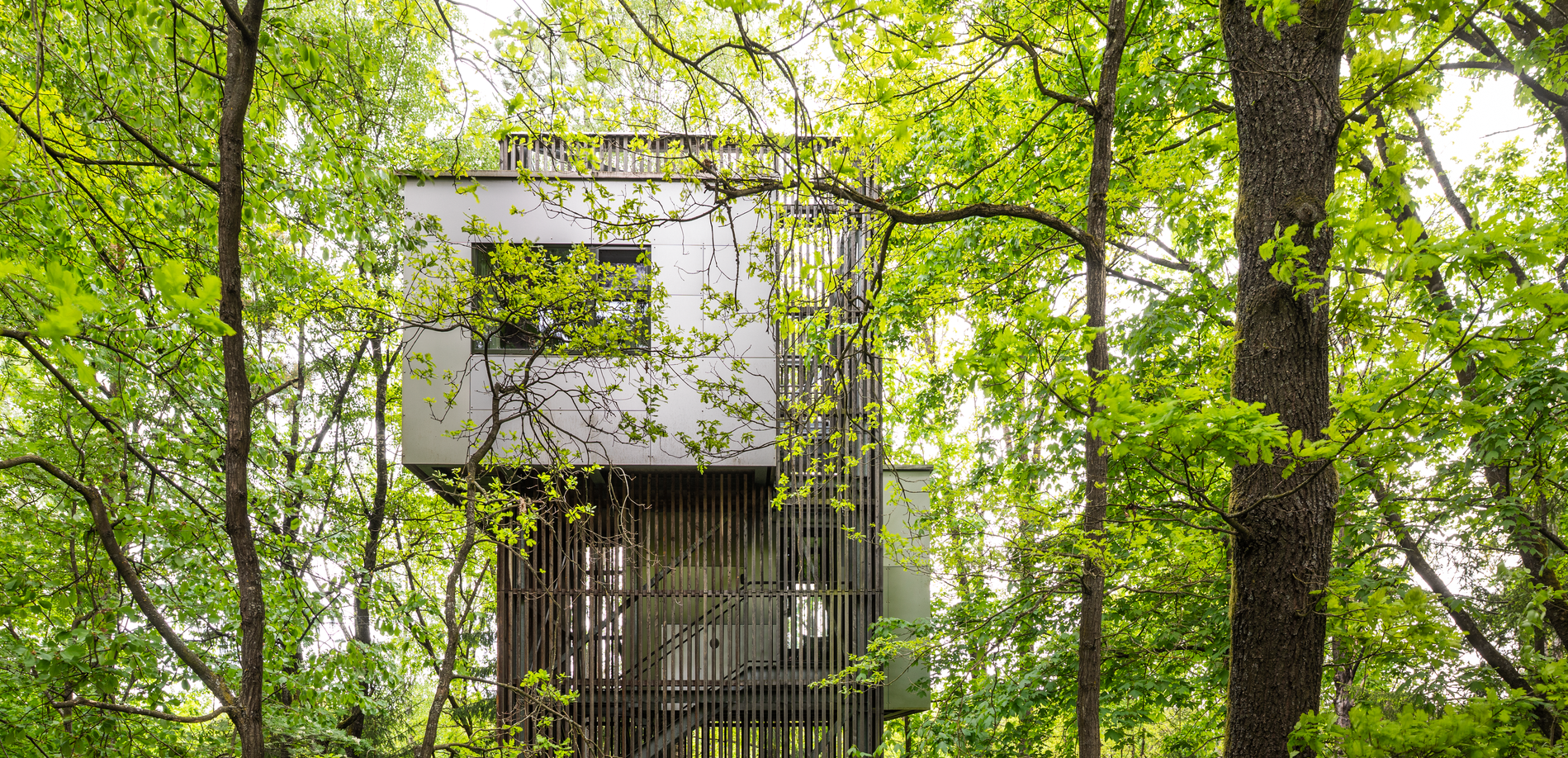 Modern tree house in a dense forest, surrounded by green leaves.