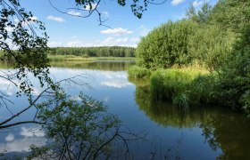 Bruneiteich, © Matthias Schickhofer