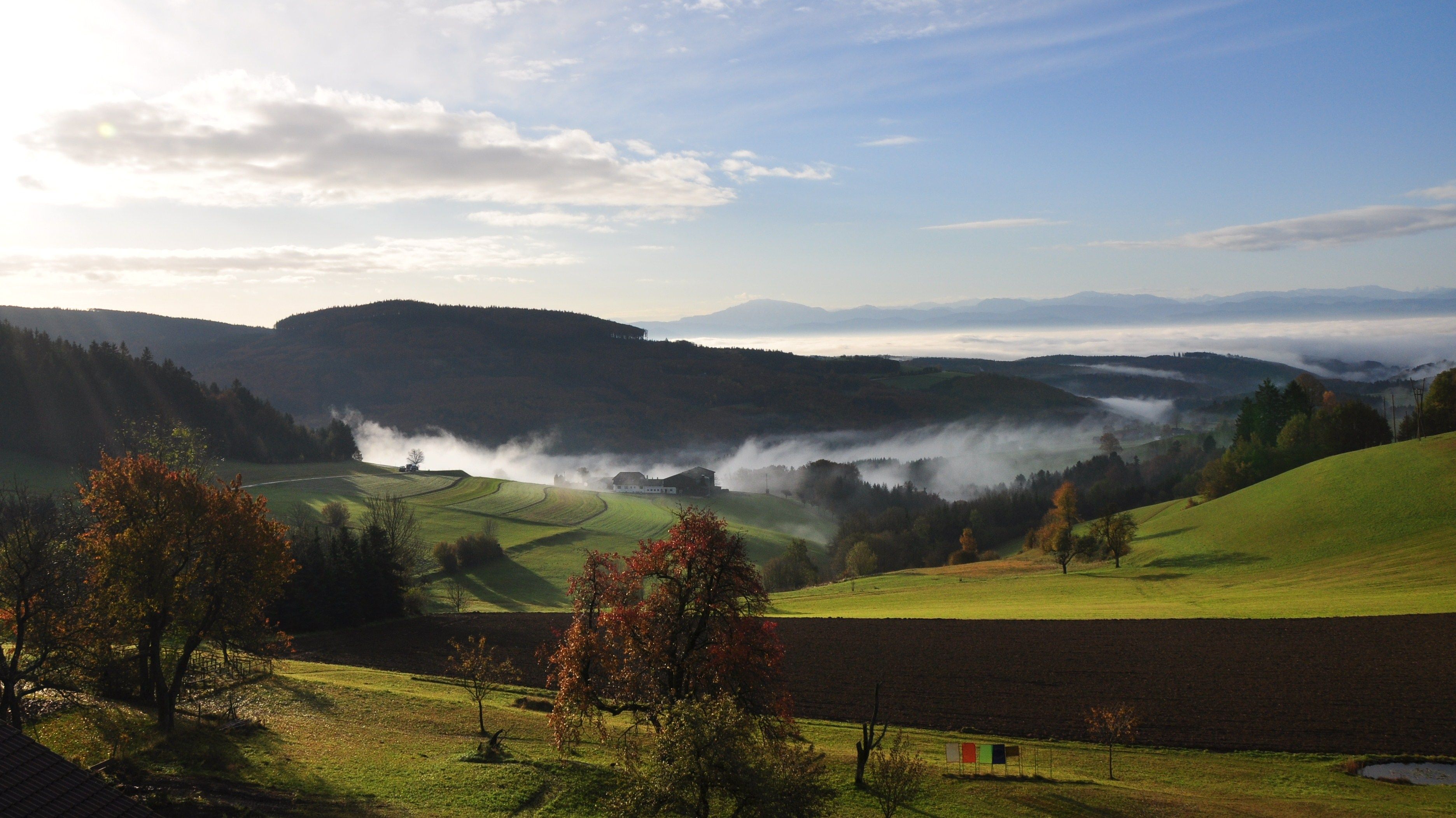 Landscape in the southern Waldviertel with hills, trees and fog.