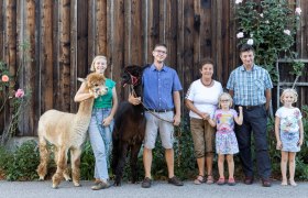 Sonnleiten Alpacas, © Theo Kust