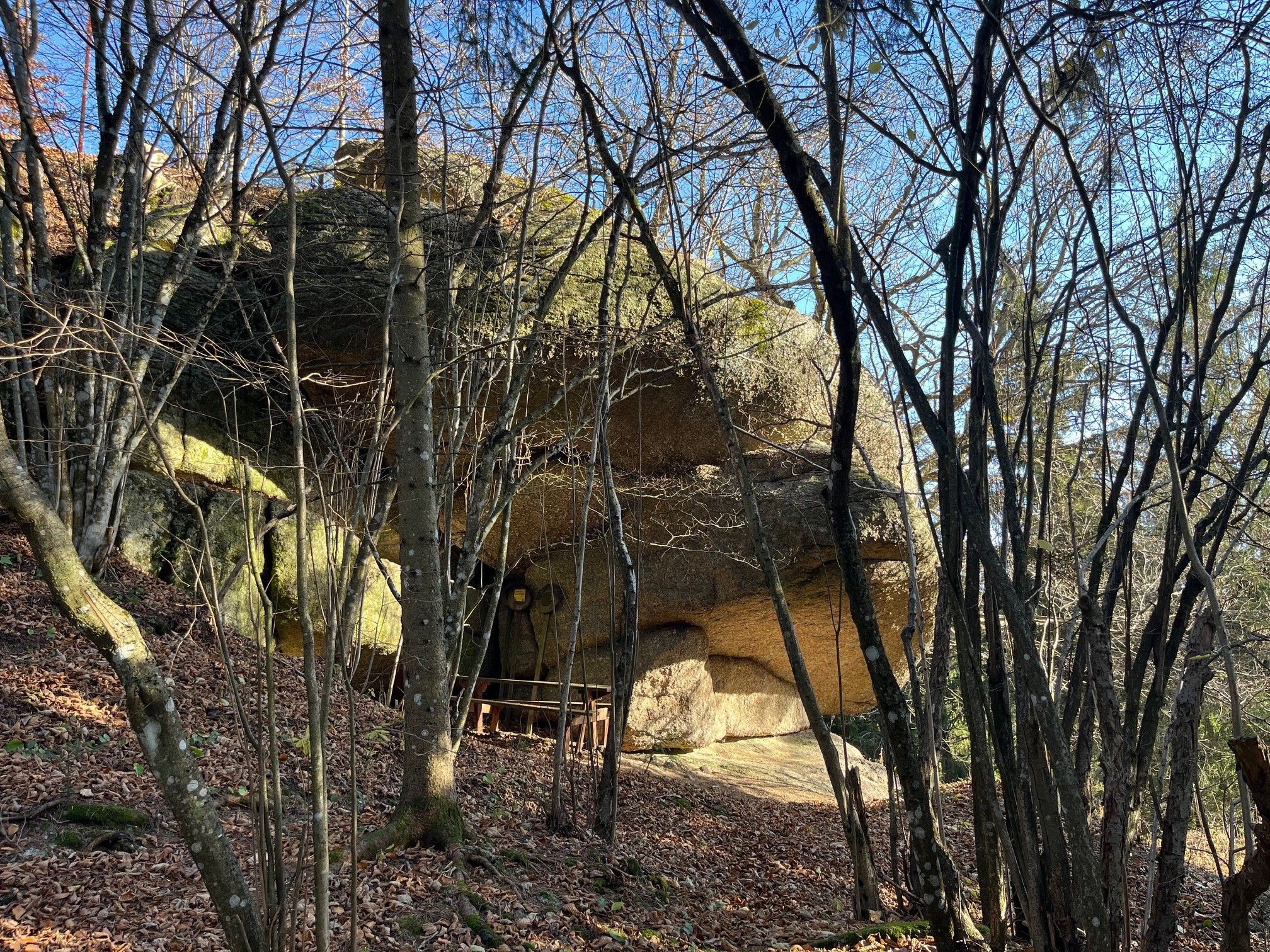 Rock formation in the forest with bare trees and leaves on the ground.