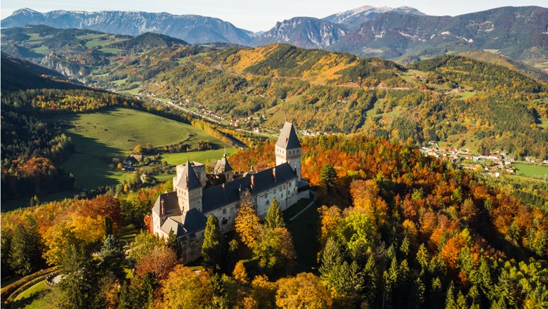 Aerial view of Wartenstein Castle surrounded by autumnal trees and mountains in the background.