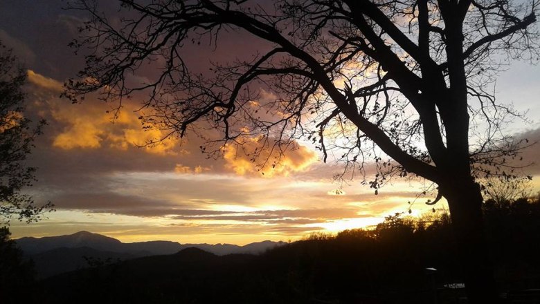 Sunset behind a tree with bare branches and hills in the background.