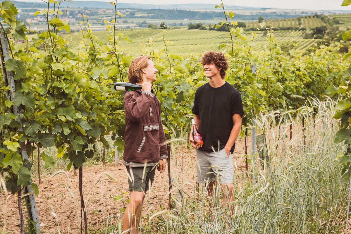 Two men are standing in a vineyard, laughing and talking, one of them holding a bottle of wine.