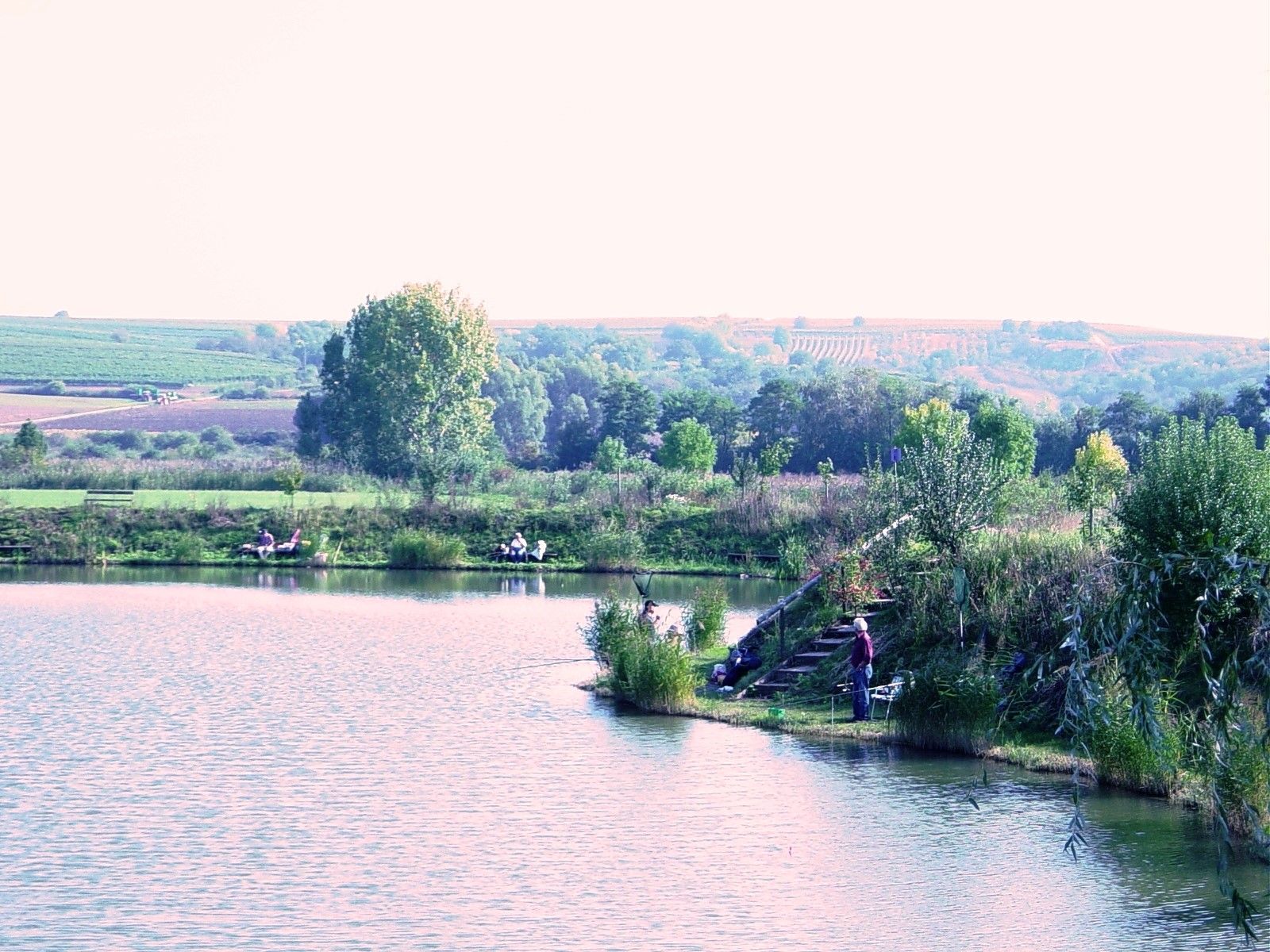 A quiet fishing pond with anglers, surrounded by green countryside and vineyards in the background.