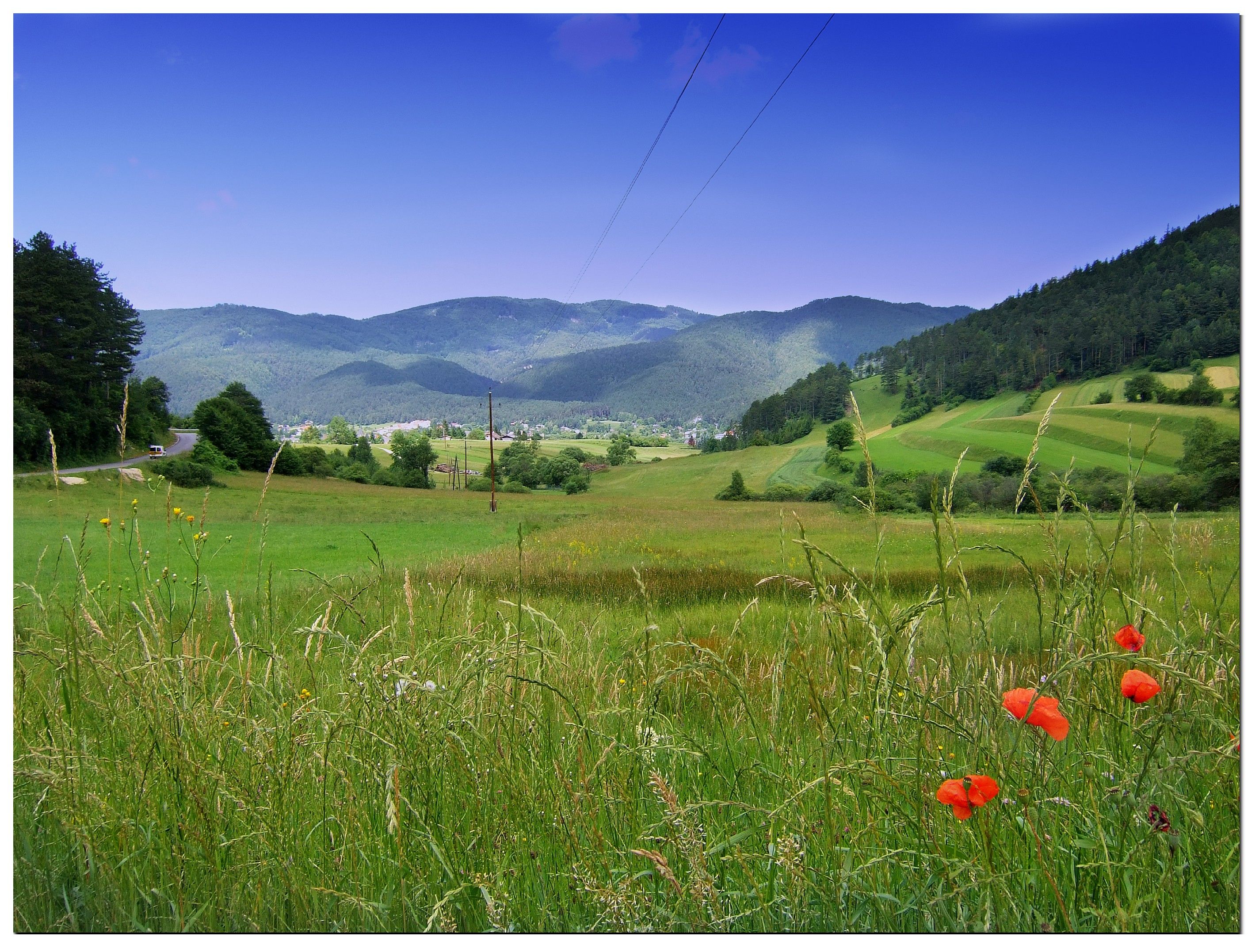 Green meadows with red poppies and hills in the background under a blue sky.