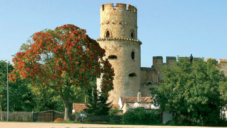 A round stone castle tower next to a tree with red leaves, surrounded by green vegetation and a blue sky.