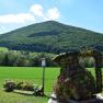 Green landscape with a wooded hill in the background and a planted sculpture in the foreground.