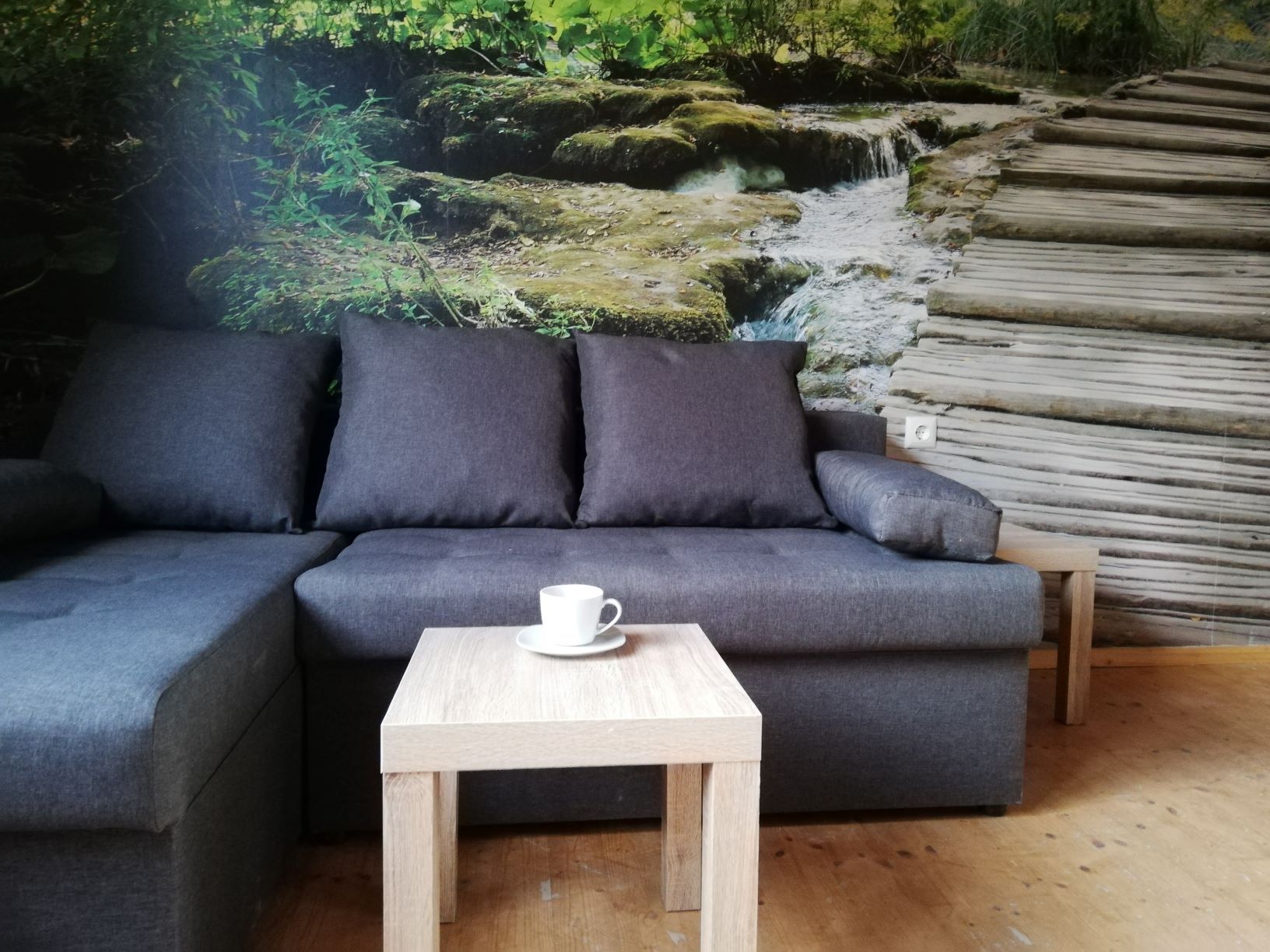Living room apartment C