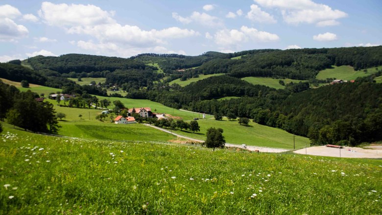 Forest and meadow in Gutental, © Waldhof Grasel