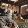 Ebner Ostrich Farm, © Moststraße, dochbodnliacht