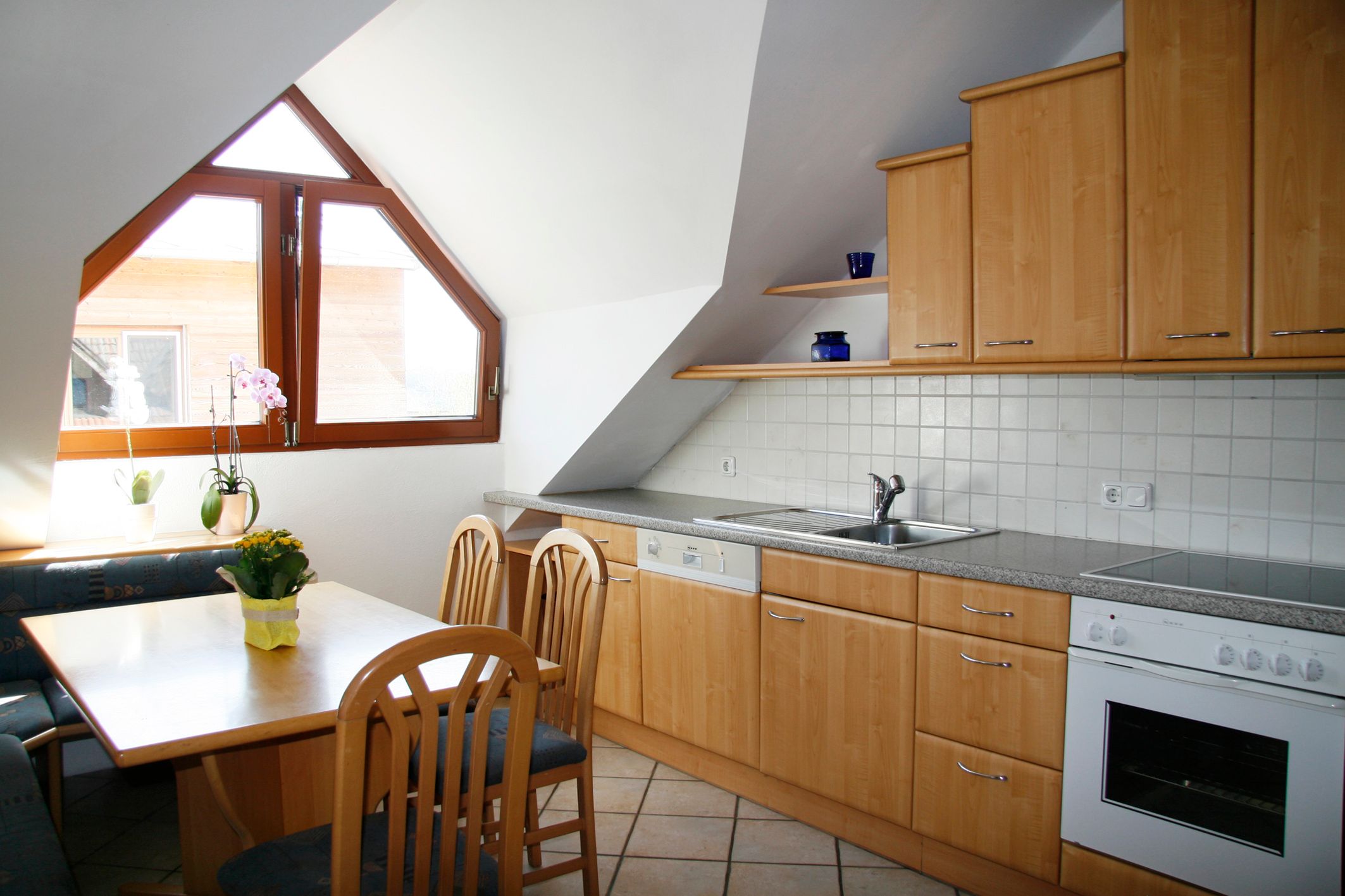 Vacation apartment kitchen