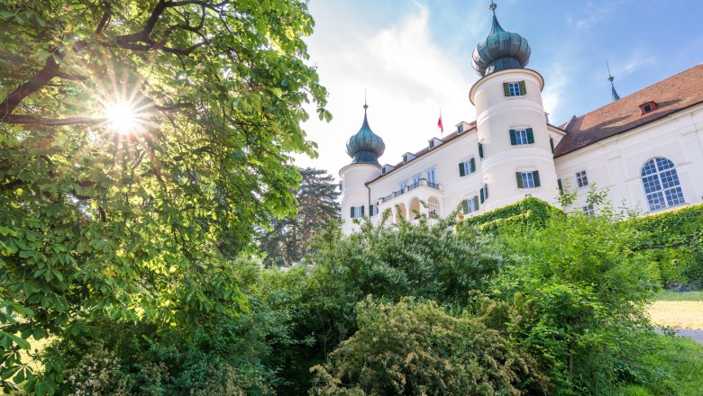 Artstetten Castle with green vegetation in the foreground and rays of sunshine through the trees.