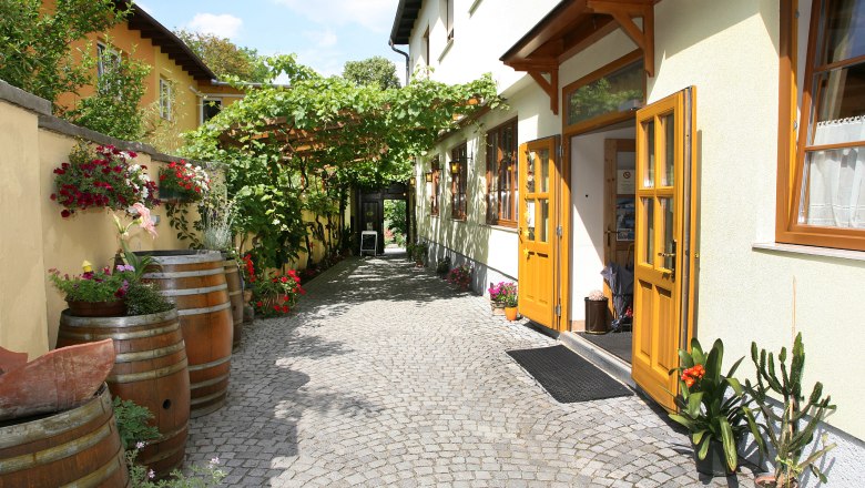 Entrance of a wine tavern with yellow doors, cobblestones and plants.