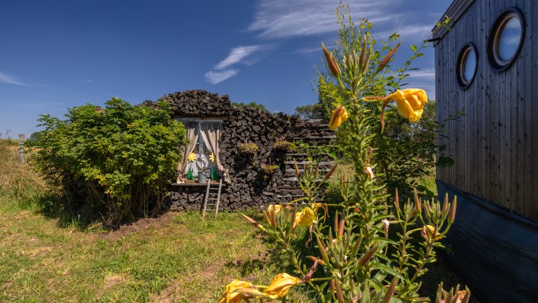 A small building made of logs with a window, surrounded by plants and yellow flowers, under a blue sky.