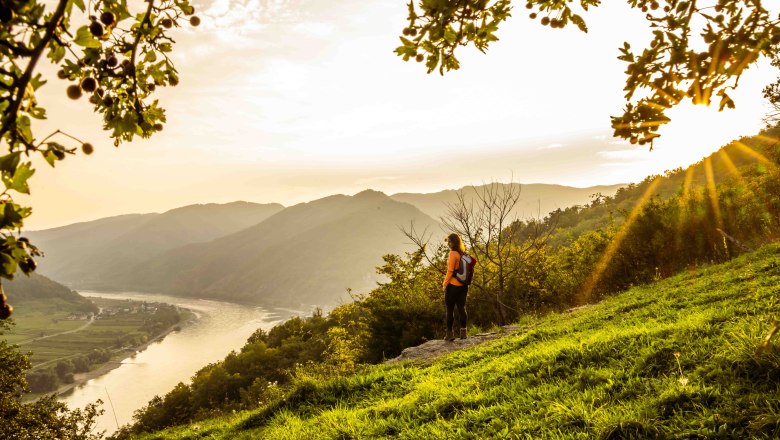 Michaelerberg with Danube, © Robert Herbst