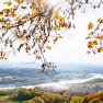 Autumn landscape with a view of the Danube valley and colorful foliage in the foreground.