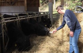 Organic Angus beef, © Manuela Toifl