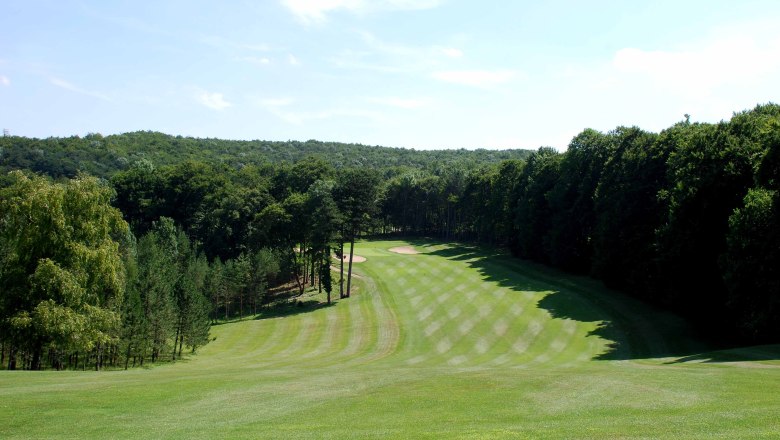 Golf course with manicured lawn and surrounding trees.