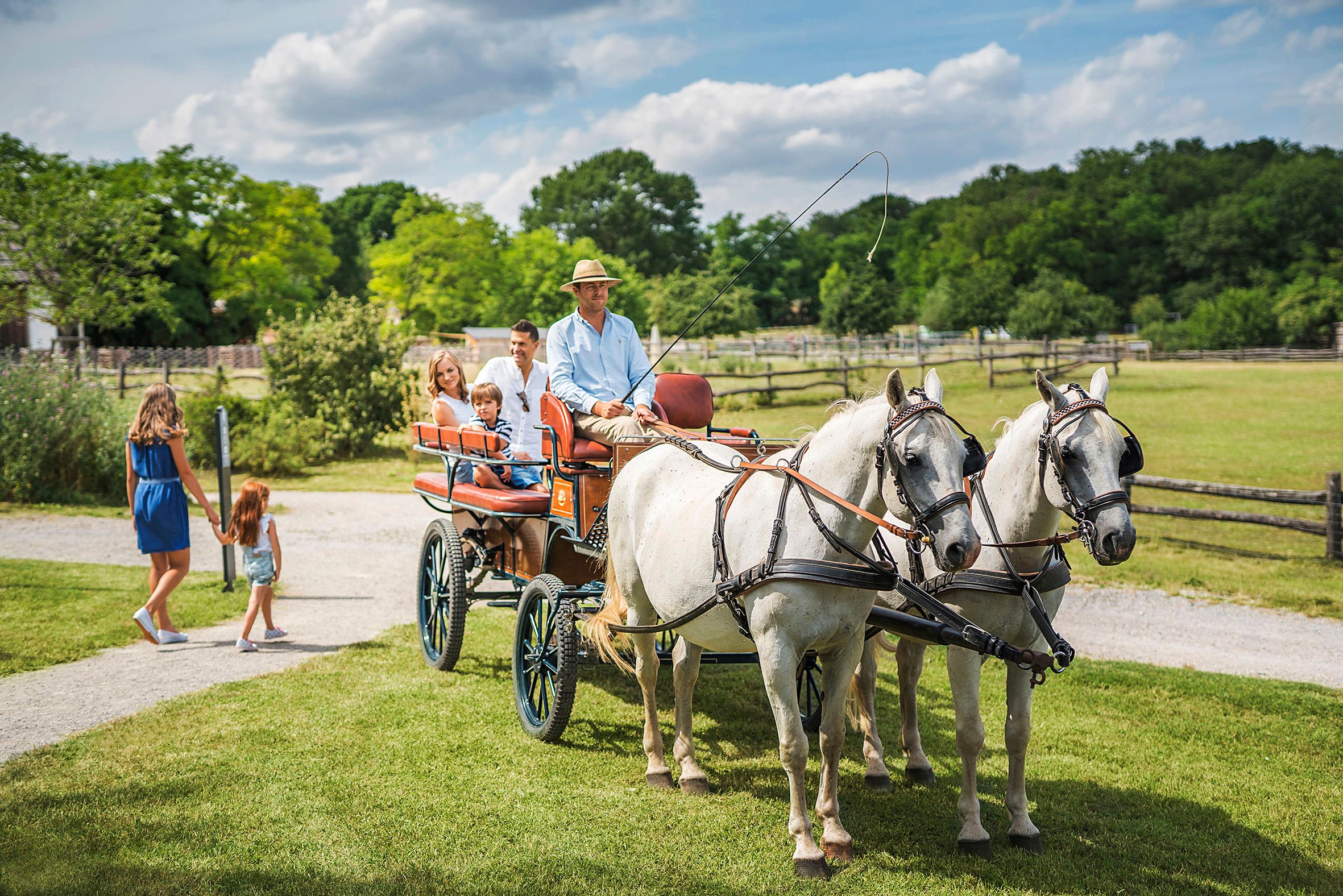 A carriage with two white horses pulls a family across a meadow near Schloss Hof.