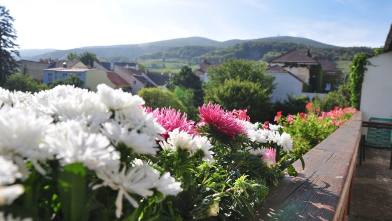 Guesthouse Hofer, &copy; Hannes Hofer