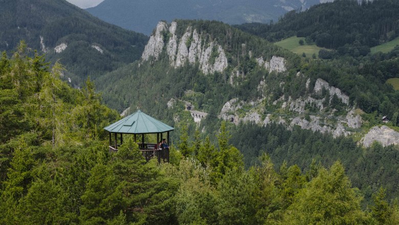 Viewpoint in the forest with mountain landscape in the background.