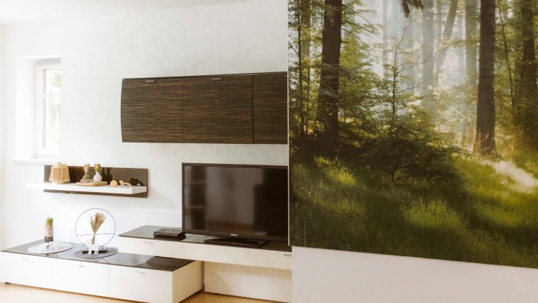 Modern living area with TV, shelves and large forest picture on the wall.