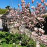Garten_1, © Boutiquehotel Landhaus am Kurpark