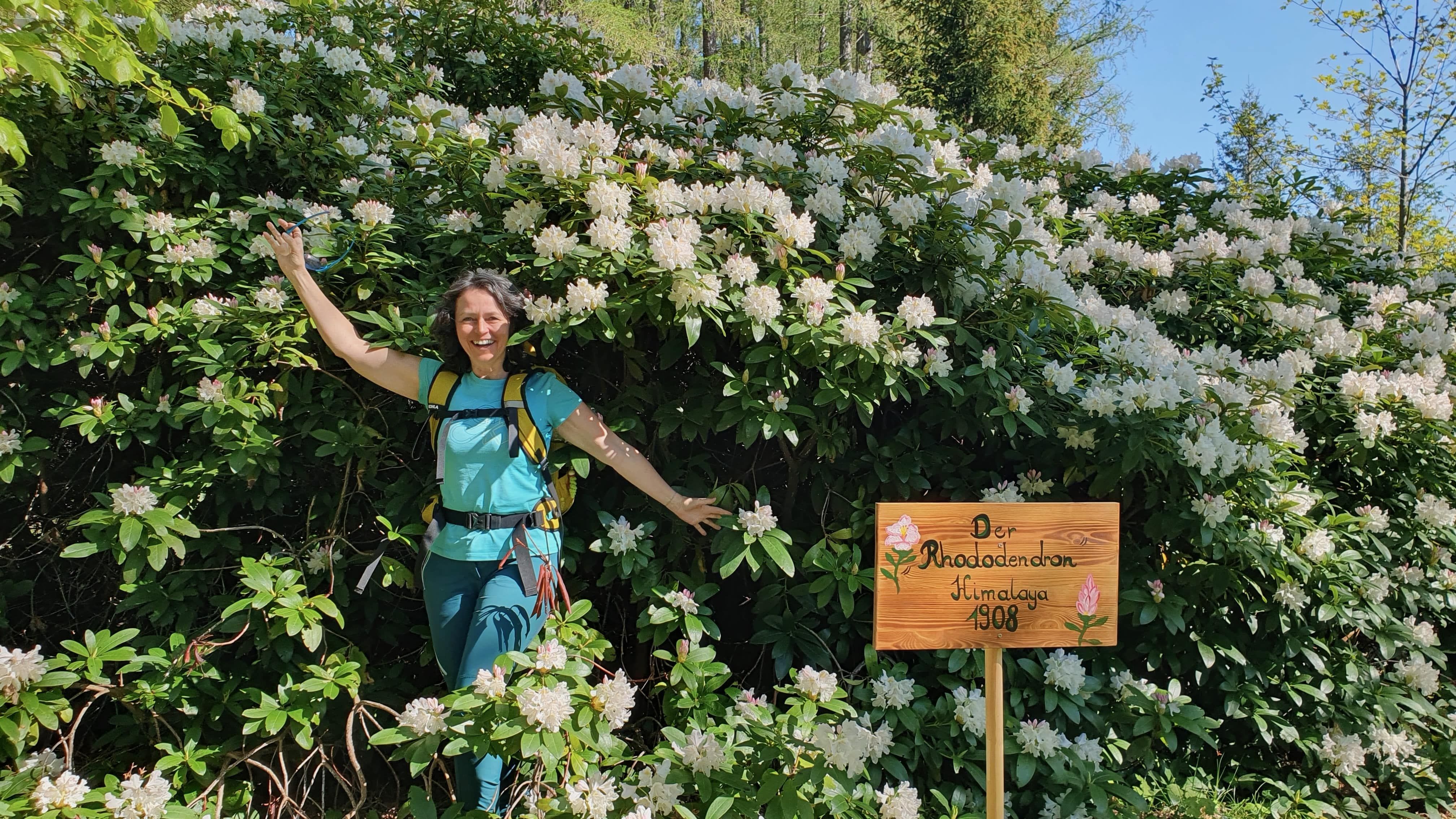 A woman stands smiling in front of a large rhododendron bush with white flowers.
