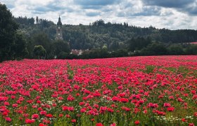 Zwettl Abbey, &copy; Unknown