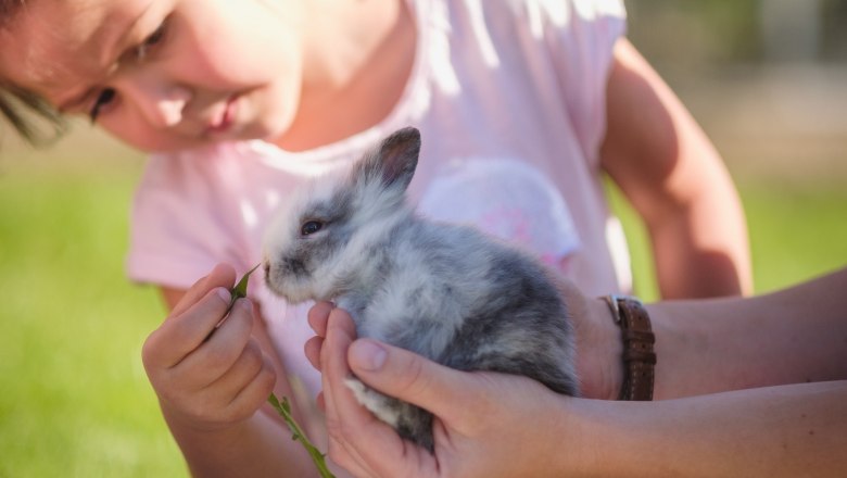 Rabbit being fed, © Die Hochriess-Distelberger GmbH & Co.KG