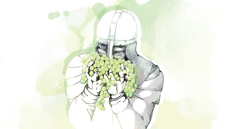 Illustration of a knight holding green grapes.