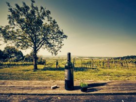 Hörstation Die drei Rieden, VIA.CARNUNTUM., © Unknown