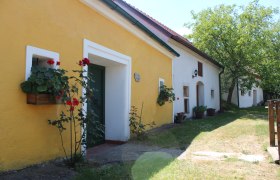 Yellow and white building in a wine cellar lane with flowers and trees.