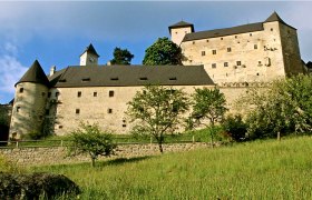 Rappottenstein Castle in Austria, surrounded by trees and meadows.