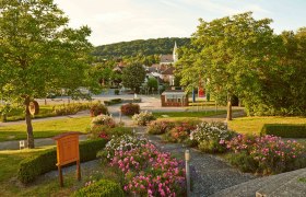 View of a well-tended garden with flowers and trees in a small community.