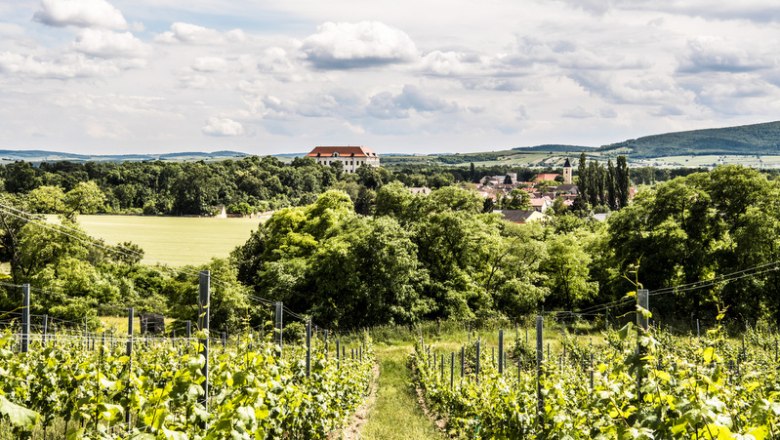 Vineyards with a castle in the background, surrounded by green countryside and a cloudy sky.