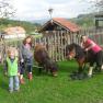 Three children with two ponies on a meadow in front of a wooden fence.